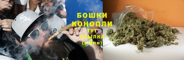 МДПВ Волоколамск