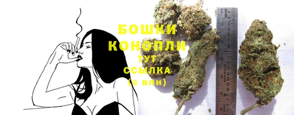 МДПВ Волоколамск